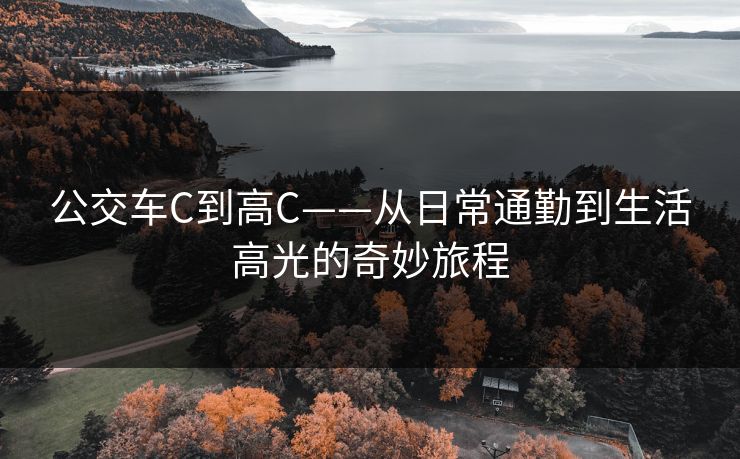 公交车C到高C——从日常通勤到生活高光的奇妙旅程