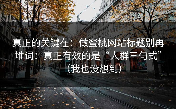 真正的关键在：做蜜桃网站标题别再堆词：真正有效的是“人群三句式”（我也没想到）  第1张