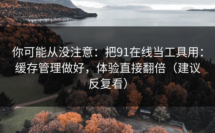 你可能从没注意:把91在线当工具用:缓存管理做好,体验直接翻倍(建议反复看)
